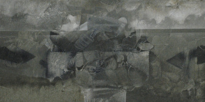 Eximia forma, optima species – 2005